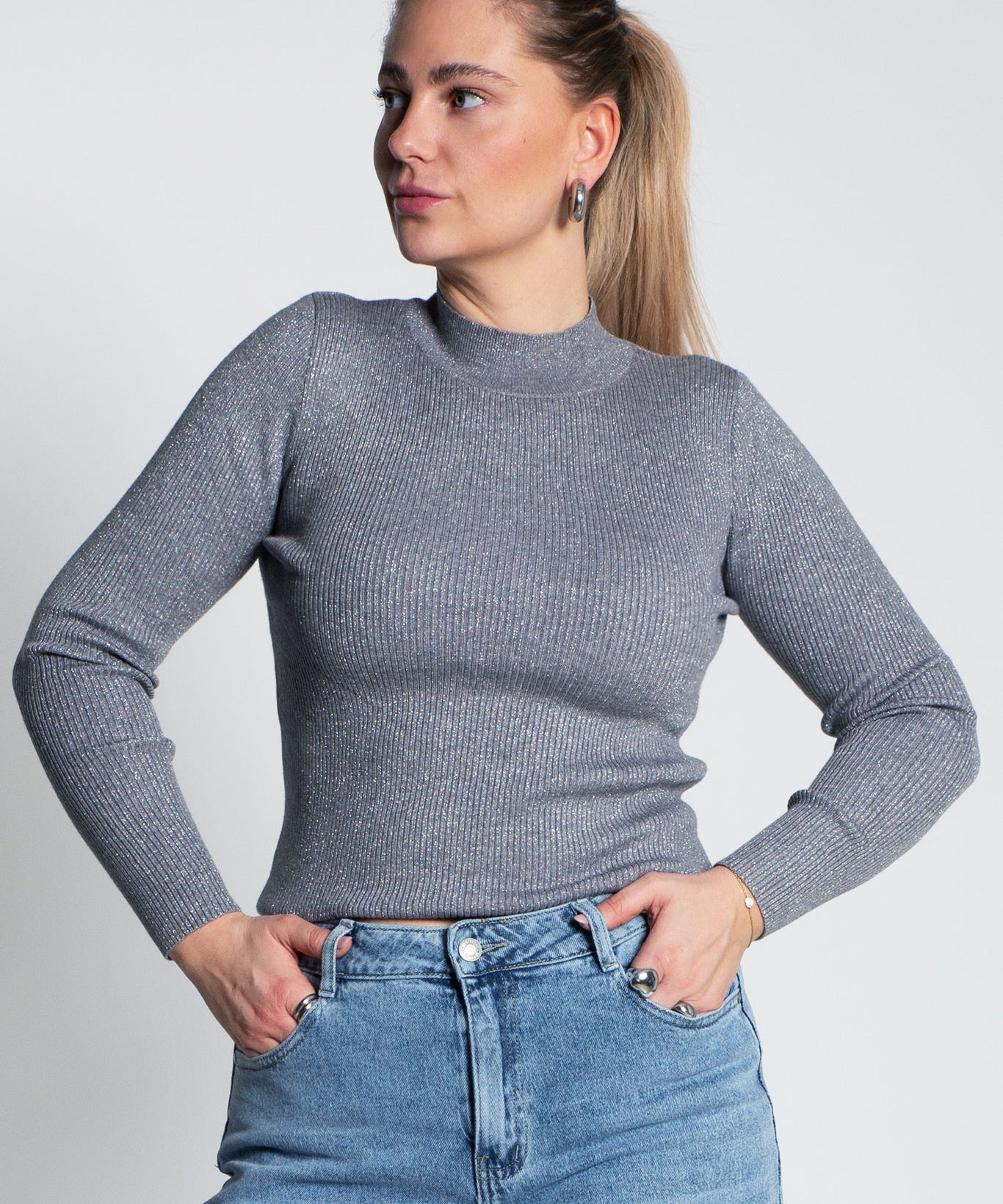 Glitzerndes Langarmshirt mit Turtle Neck Grau von vorne
