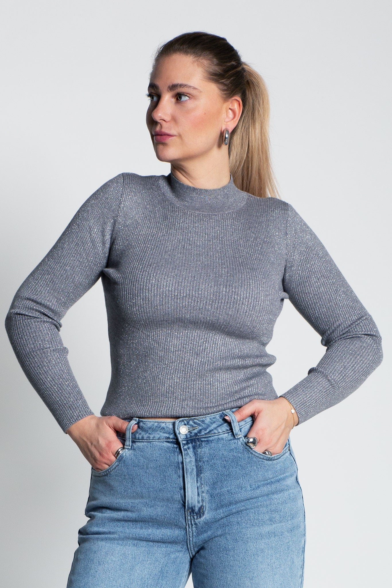 Glitzerndes Langarmshirt mit Turtle Neck Grau von vorne