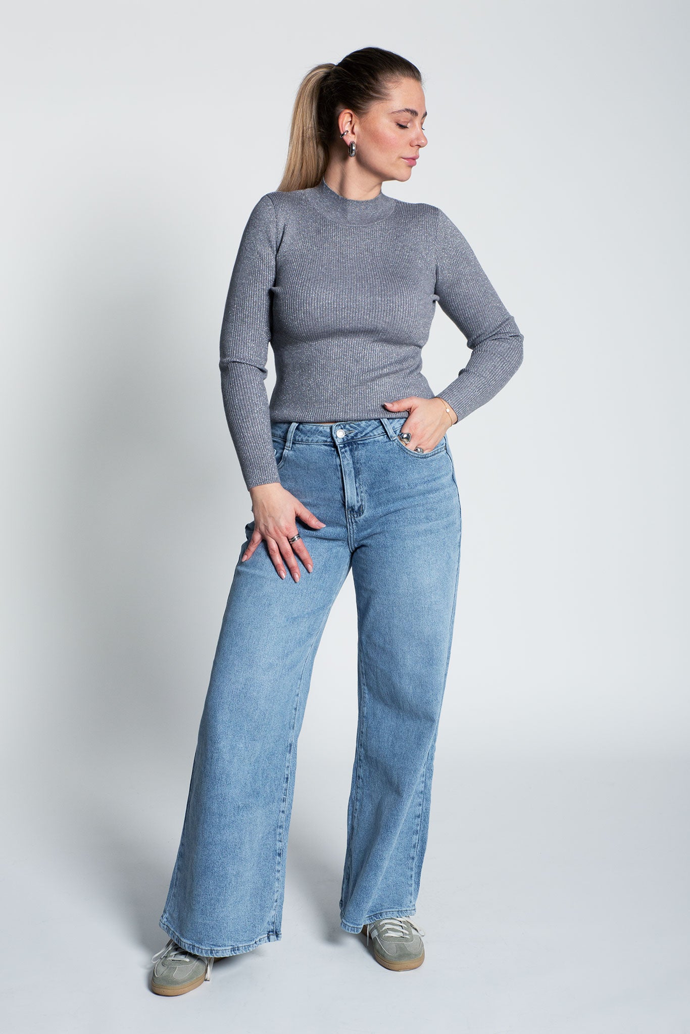 Glitzerndes Langarmshirt mit Turtle Neck Grau Ganzkörper