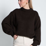 Strickpullover mit Rundhals Dunkelbraun von vorne